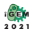 iGEM Webinars