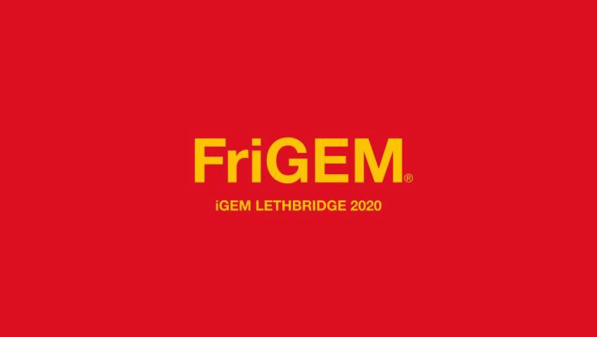 Lethbridge: FriGEM (2020) - Project Promotion [English] - iGEM Video Universe