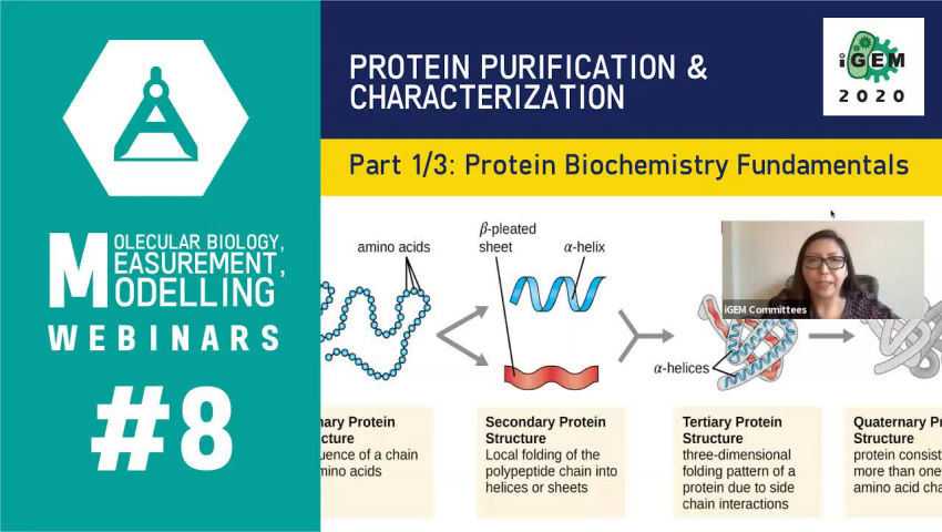 Protein Biochemistry Fundamentals ↗ Protein Purification Strategies ↗ ...