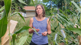 WLC-Milwaukee: Soil Testing Kit (2022) - Project Promotion [English]