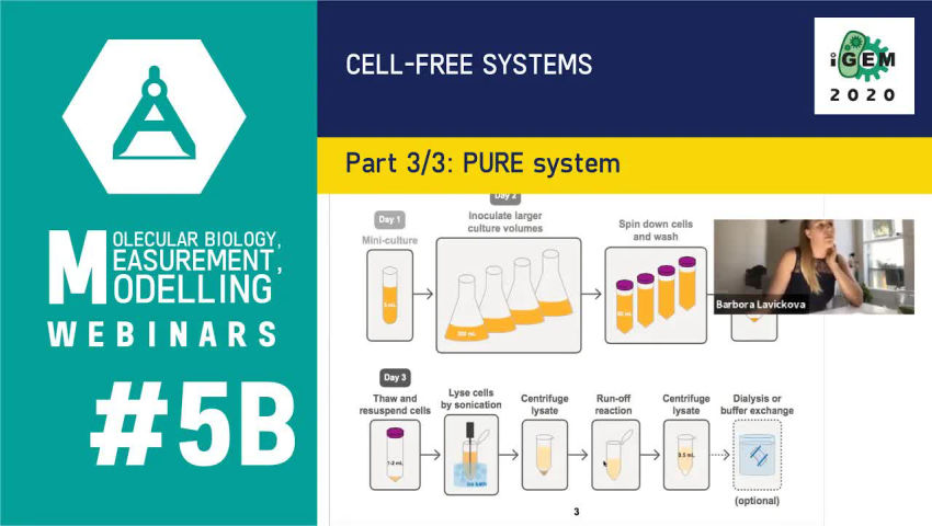Cell-Free Systems 3/3: PURE system
